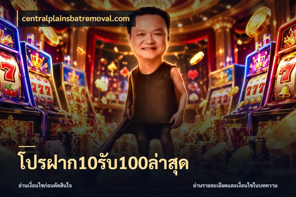 โปรฝาก10รับ100ล่าสุด ยอดฝากและยอดรับในมุมของคนชอบลุ้น ในมุม centralplainsbatremoval.com