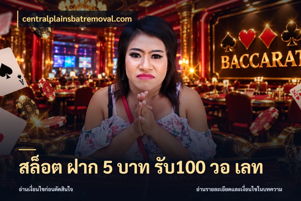 สล็อต ฝาก 5 บาท รับ100 วอ เลท รูปแบบโบนัสกับสิทธิ์ของสายเกม กับ centralplainsbatremoval.com