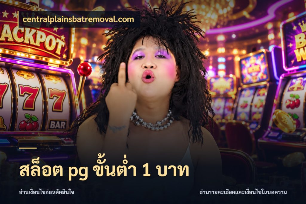 สล็อต pg ขั้นต่ำ 1 บาท จำนวนเริ่มต้นกับสไตล์เกมที่ชอบ สไตล์ centralplainsbatremoval.com