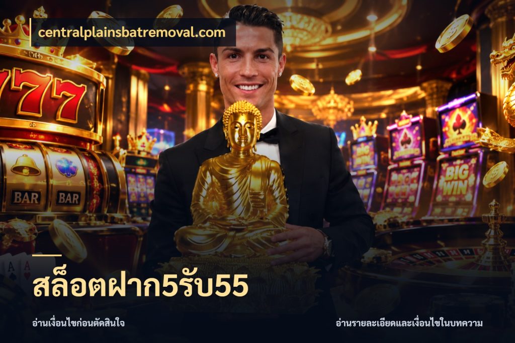 สล็อตฝาก5รับ55 จับประเด็นยอดรับก่อนเลือกความสนุก กับ centralplainsbatremoval.com
