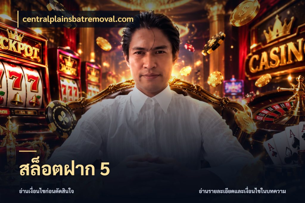 สล็อตฝาก 5 ทุนเบาก็มีสีสันในจังหวะของคุณ ในมุม centralplainsbatremoval.com