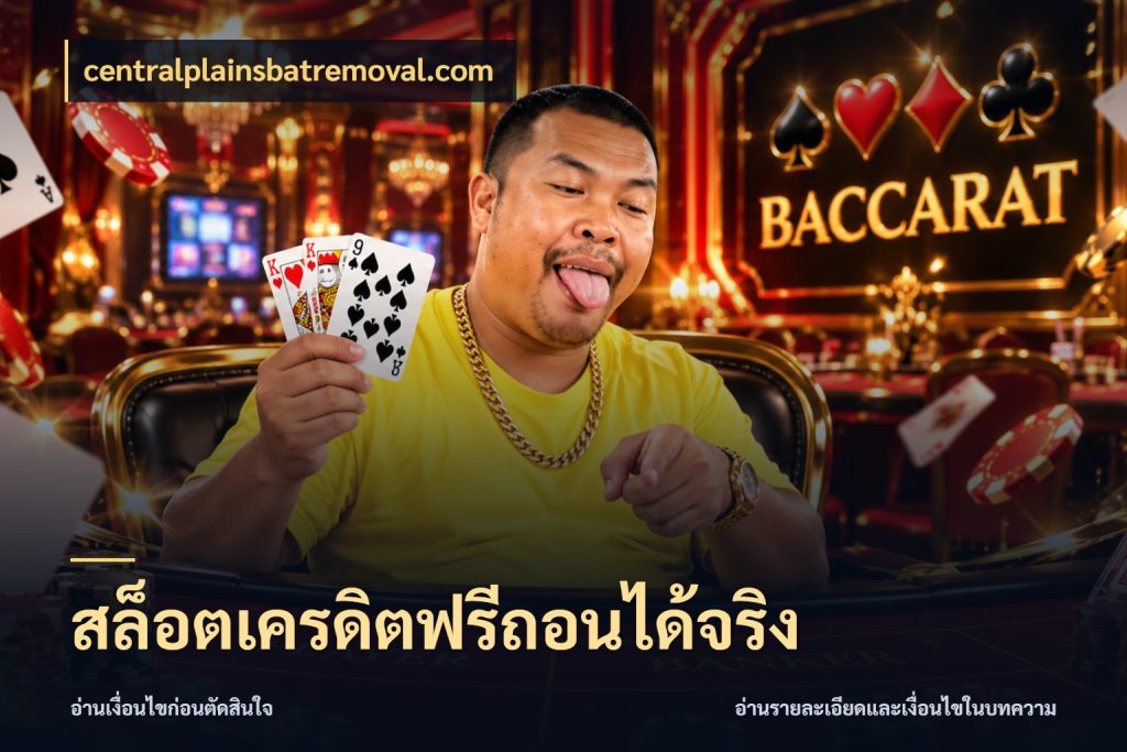สล็อตเครดิตฟรีถอนได้จริง รู้จักยอดและขอบเขตของเครดิตฟรี สไตล์ centralplainsbatremoval.com