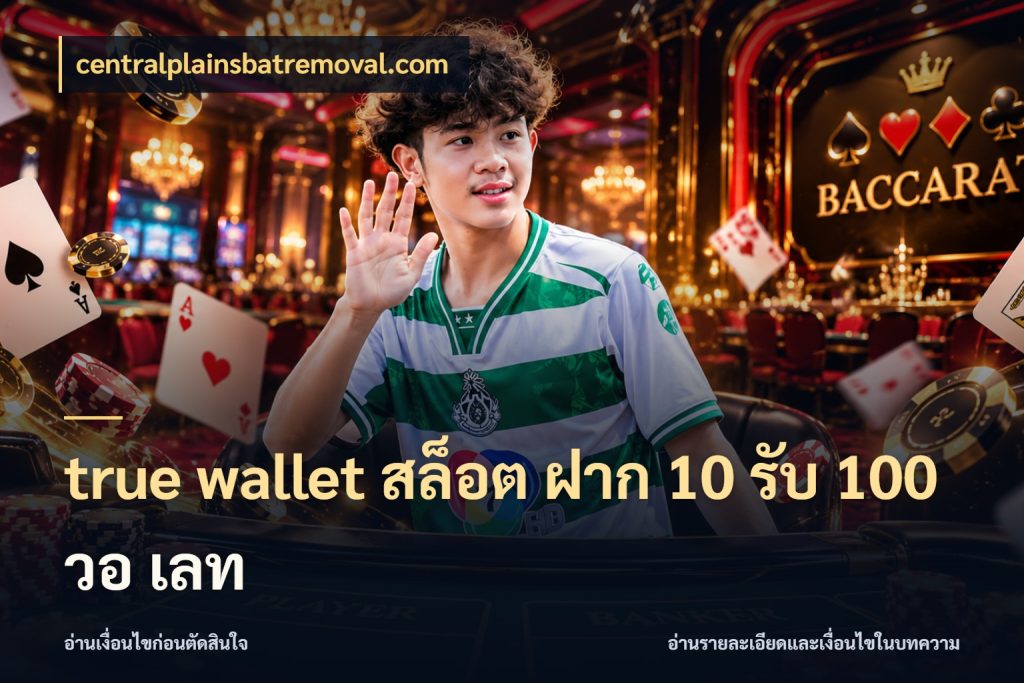true wallet สล็อต ฝาก 10 รับ 100 วอ เลท โปรกับเกมที่ชอบเลือกให้ตรงสไตล์ ในมุม centralplainsbatremoval.com