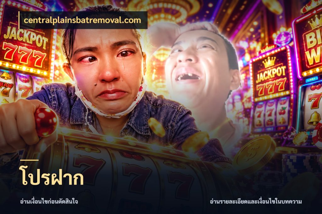 โปรฝาก centralplainsbatremoval.com รูปแบบโบนัสกับสิทธิ์ของสายเกม