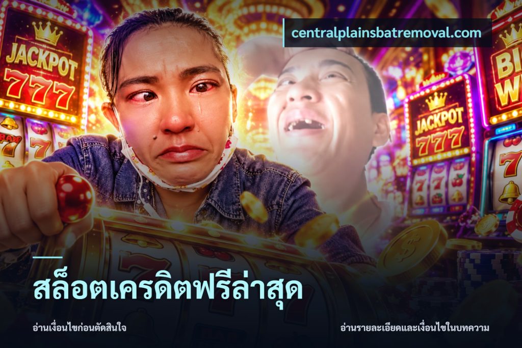 สล็อตเครดิตฟรีล่าสุด