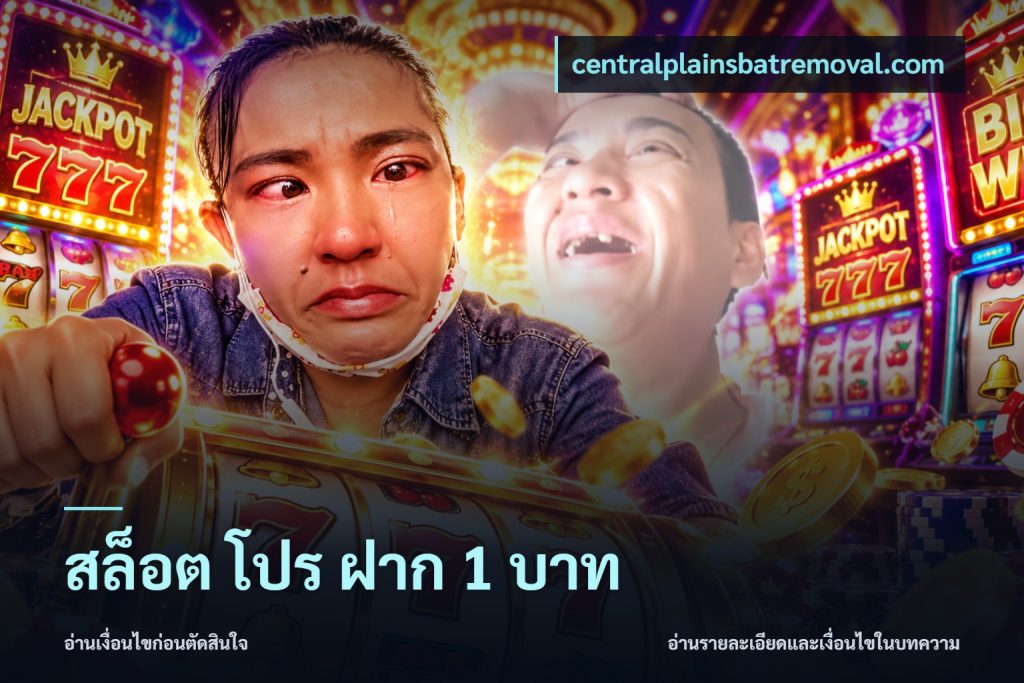 สล็อต โปร ฝาก 1 บาท