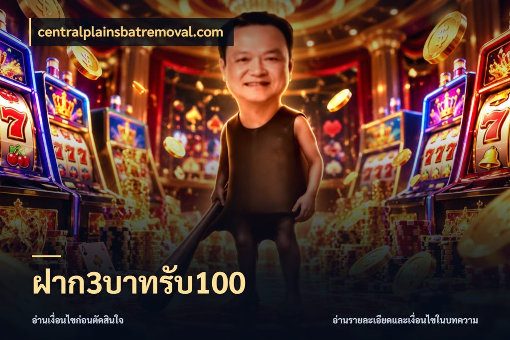 ฝาก3บาทรับ100 จับคู่โบนัสกับสไตล์เกมที่ชอบ ในมุม centralplainsbatremoval.com