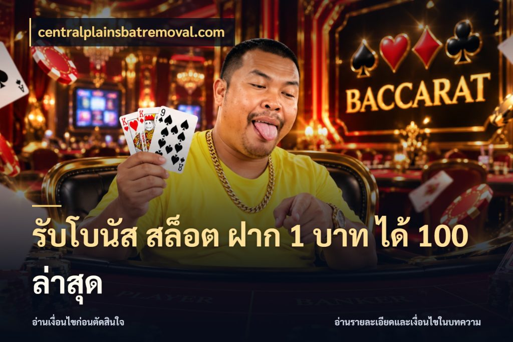 รับโบนัส สล็อต ฝาก 1 บาท ได้ 100 ล่าสุด ยอดฝากและยอดรับในมุมของคนชอบลุ้น กับ centralplainsbatremoval.com