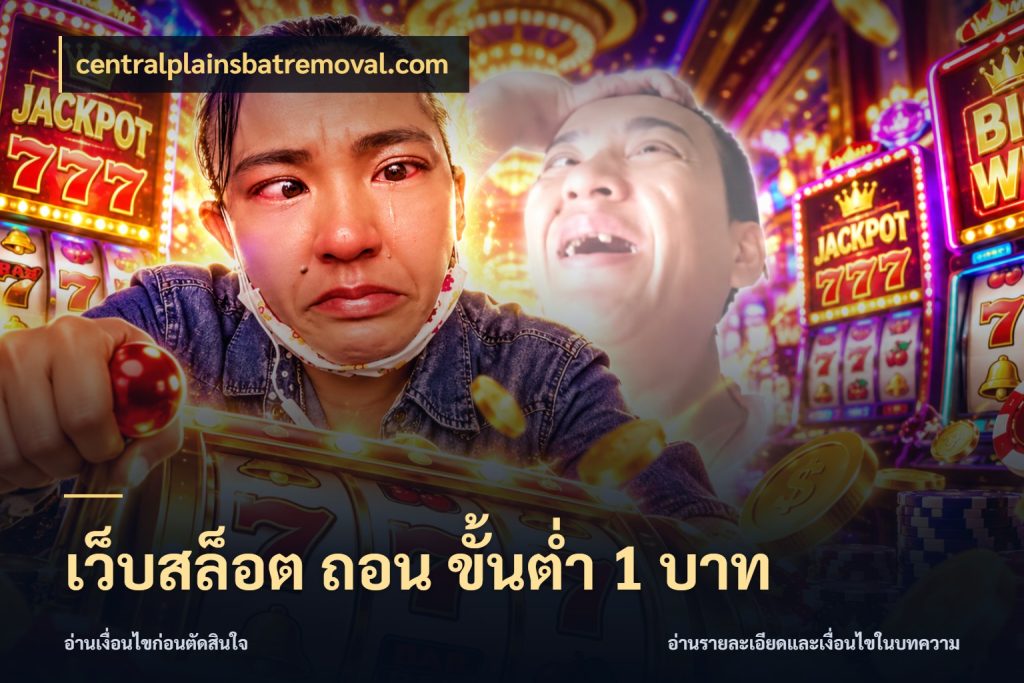 เว็บสล็อต ถอน ขั้นต่ํา 1 บาท มุมสนุกของคนที่กำหนดขอบเขตตัวเอง สไตล์ centralplainsbatremoval.com