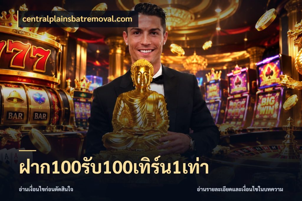 ฝาก100รับ100เทิร์น1เท่า จับประเด็นยอดรับก่อนเลือกความสนุก ในมุม centralplainsbatremoval.com