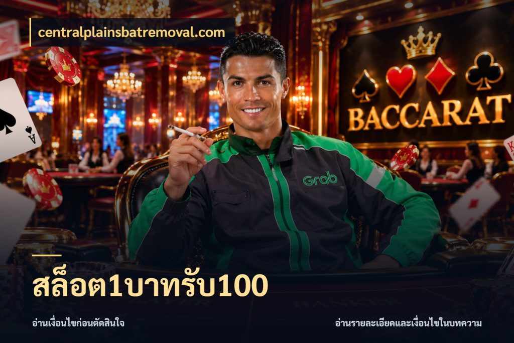 สล็อต1บาทรับ100 สนุกกับตัวเลือกโปรในสไตล์ของคุณ ในมุม centralplainsbatremoval.com