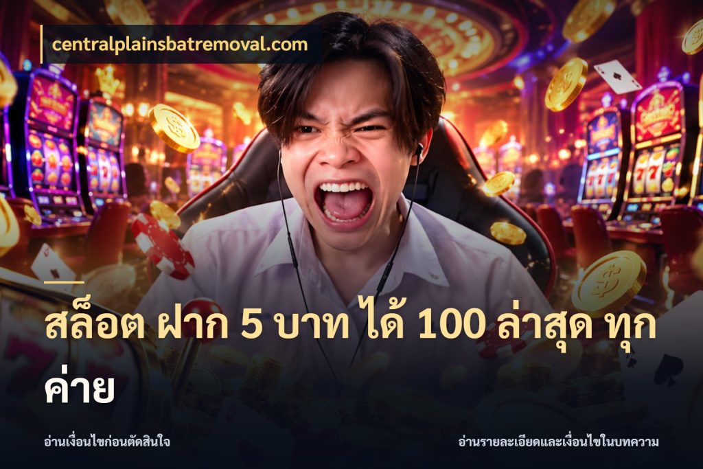 สล็อต ฝาก 5 บาท ได้ 100 ล่าสุด ทุกค่าย รูปแบบโบนัสกับสิทธิ์ของสายเกม สไตล์ centralplainsbatremoval.com