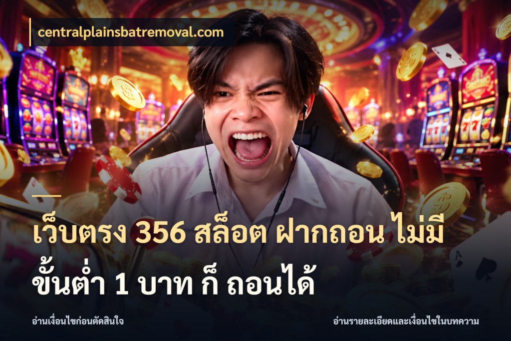 เว็บตรง 356 สล็อต ฝากถอน ไม่มี ขั้นต่ำ 1 บาท ก็ ถอนได้ จัดจังหวะสนุกให้เข้ากับงบที่ตั้งไว้ สไตล์ centralplainsbatremoval.com