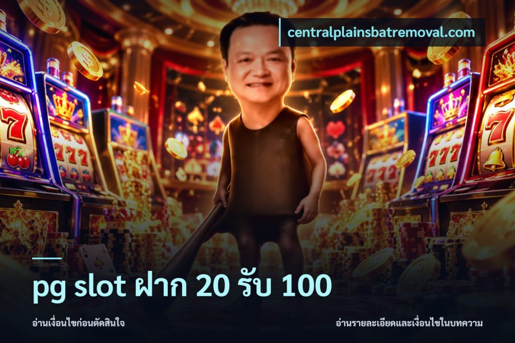 pg slot ฝาก 20 รับ 100