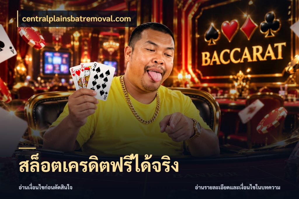 สล็อตเครดิตฟรีได้จริง centralplainsbatremoval.com สายโบนัสเลือกมุมเครดิตให้ตรงสไตล์