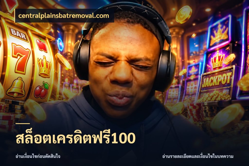 สล็อตเครดิตฟรี100 เครดิตฟรีในมุมที่สายโบนัสสนใจ กับ centralplainsbatremoval.com