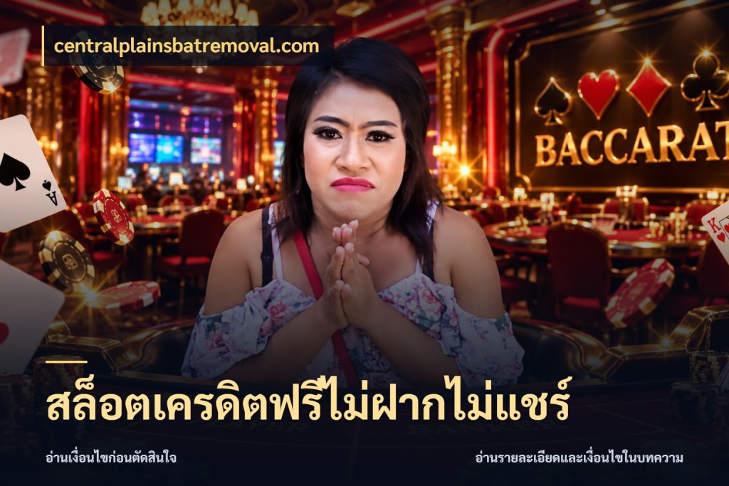 สล็อตเครดิตฟรีไม่ฝากไม่แชร์ centralplainsbatremoval.com สิทธิ์ที่สายโบนัสสนใจกับวิธีรับ
