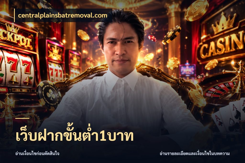 เว็บฝากขั้นต่ำ1บาท centralplainsbatremoval.com จำนวนเริ่มต้นกับรายละเอียดที่สายเกมสนใจ