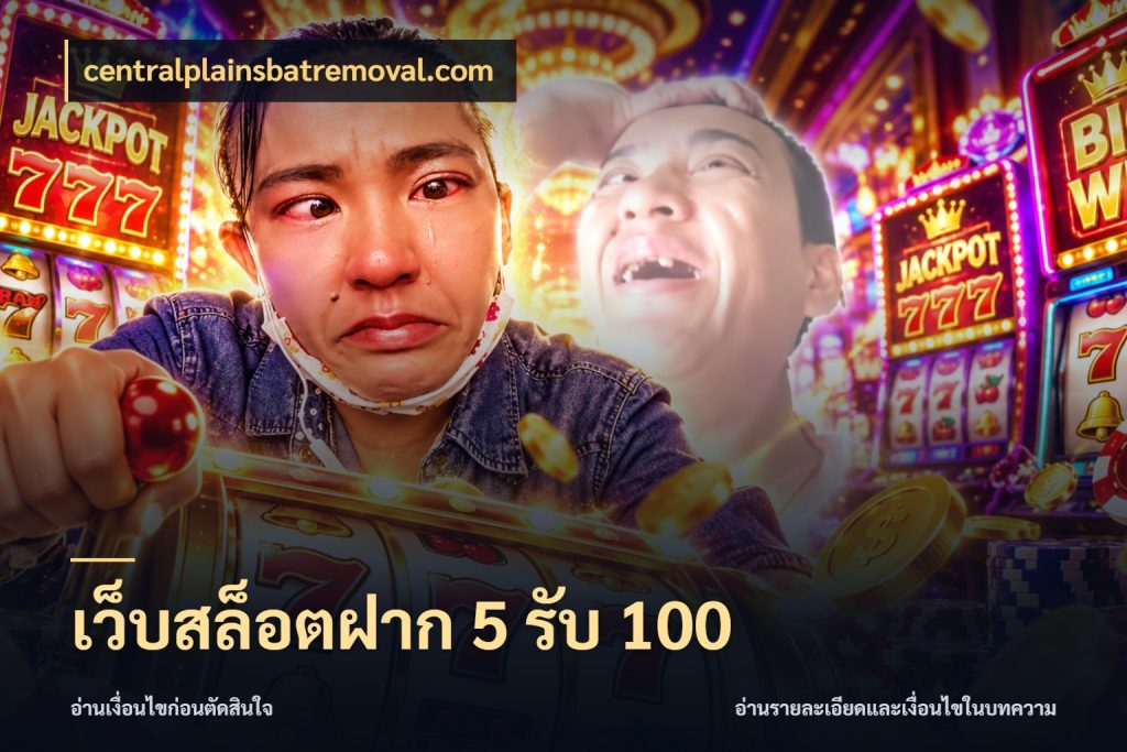 เว็บสล็อตฝาก 5 รับ 100 รูปแบบโบนัสกับสิทธิ์ของสายเกม ในมุม centralplainsbatremoval.com