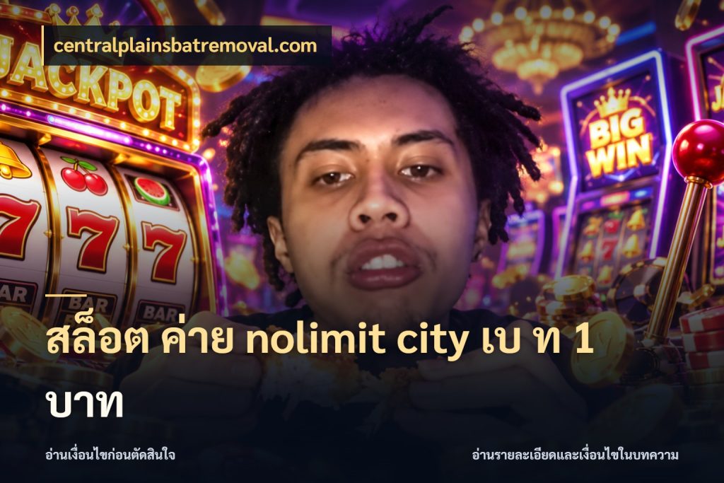 สล็อต ค่าย nolimit city เบ ท 1 บาท ยอดในเกมกับสไตล์ที่คุณสนใจ ในมุม centralplainsbatremoval.com