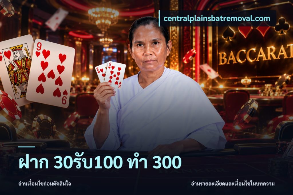 ฝาก 30รับ100 ทำ 300