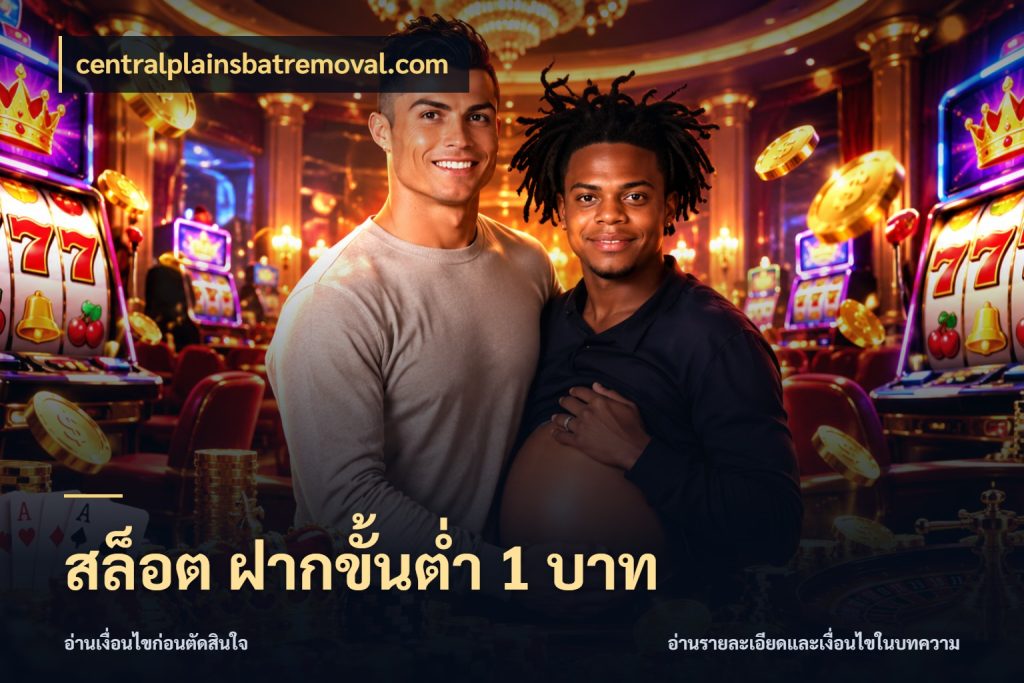 สล็อต ฝากขั้นต่ำ 1 บาท centralplainsbatremoval.com จำนวนเริ่มต้นกับรายละเอียดที่สายเกมสนใจ