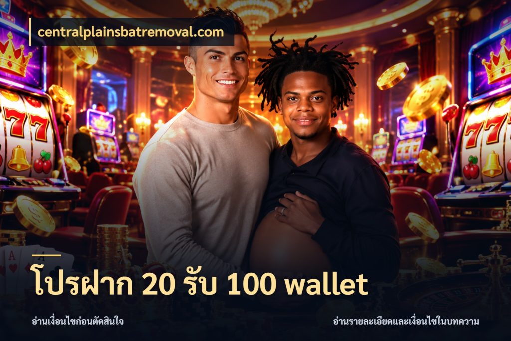 โปรฝาก 20 รับ 100 wallet เครดิตกับรูปแบบโปรที่ตรงใจ ในมุม centralplainsbatremoval.com