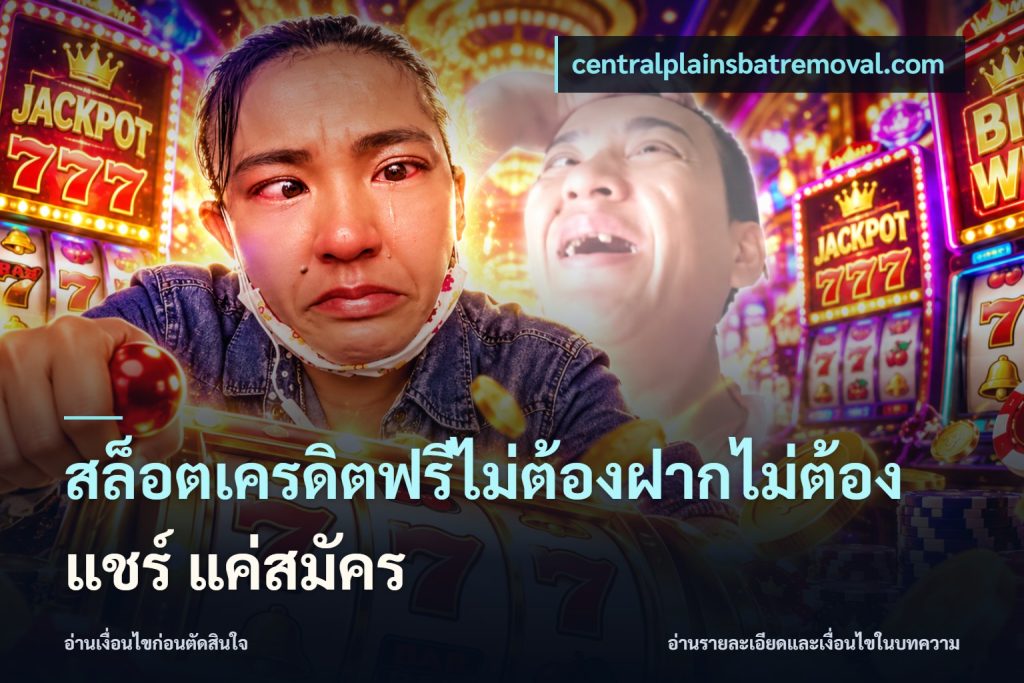 สล็อตเครดิตฟรีไม่ต้องฝากไม่ต้องแชร์ แค่สมัคร
