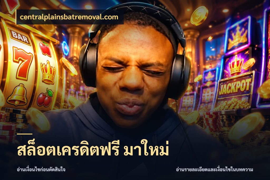 สล็อตเครดิตฟรี มาใหม่ จับมุมเด่นของเครดิตฟรีให้ตรงใจ ในมุม centralplainsbatremoval.com