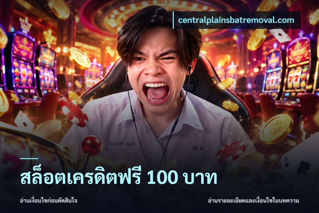 สล็อตเครดิตฟรี 100 บาท