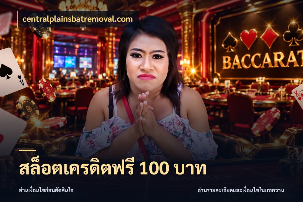 สล็อตเครดิตฟรี 100 บาท สีสันของเครดิตฟรีและเกมแนวที่ชอบ ในมุม centralplainsbatremoval.com