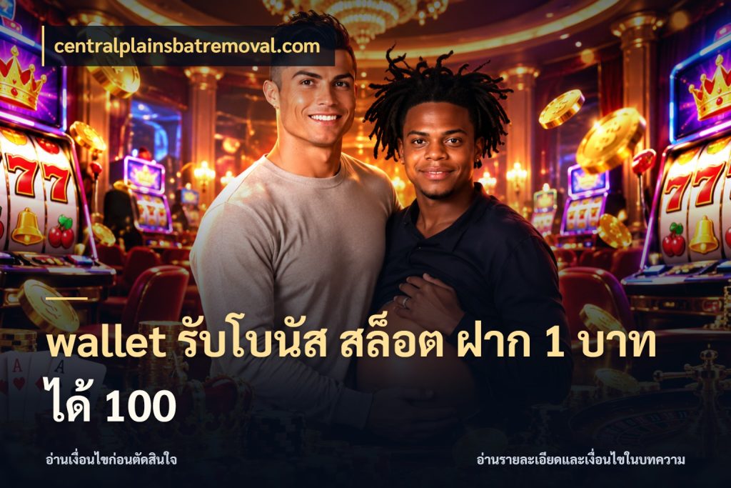 wallet รับโบนัส สล็อต ฝาก 1 บาท ได้ 100 เครดิตกับรูปแบบโปรที่ตรงใจ ในมุม centralplainsbatremoval.com