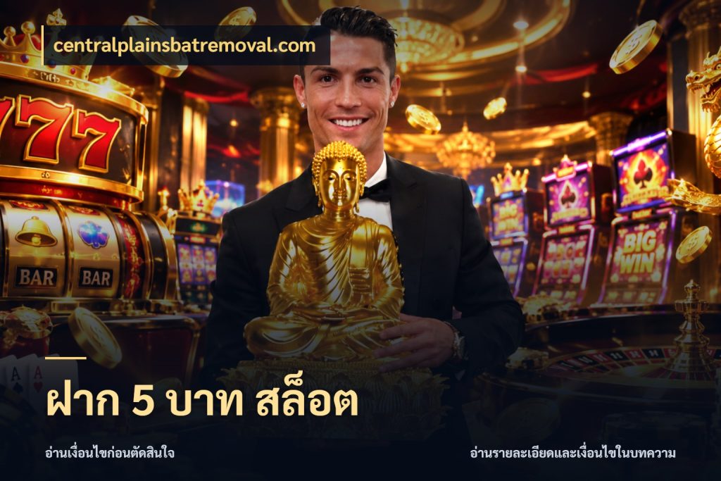 ฝาก 5 บาท สล็อต centralplainsbatremoval.com สายทุนน้อยเลือกความสนุกให้พอดี