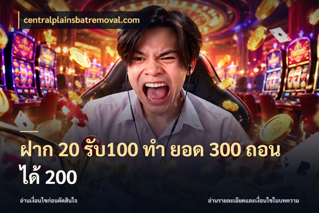 ฝาก 20 รับ100 ทํา ยอด 300 ถอนได้ 200 สนุกกับตัวเลือกโปรในสไตล์ของคุณ ในมุม centralplainsbatremoval.com