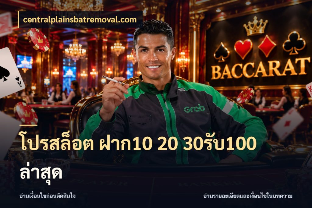 โปรสล็อต ฝาก10 20 30รับ100 ล่าสุด centralplainsbatremoval.com สีสันของโปรฝากและยอดรับ