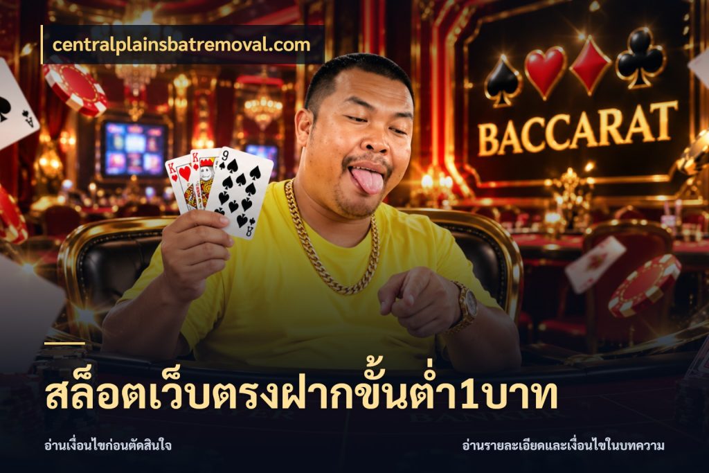 สล็อตเว็บตรงฝากขั้นต่ำ1บาท รู้จักจำนวนแต่ละแบบก่อนเลือกเกม ในมุม centralplainsbatremoval.com