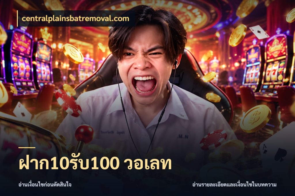 ฝาก10รับ100 วอเลท จุดเด่นของเครดิตที่คนชอบเกมอยากรู้ กับ centralplainsbatremoval.com