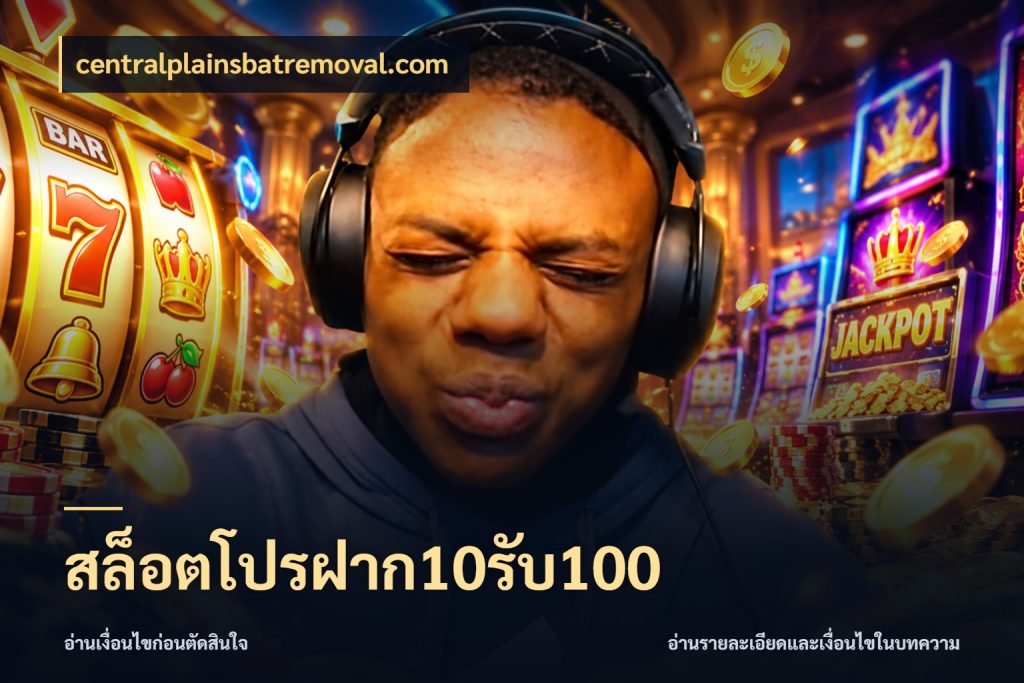 สล็อตโปรฝาก10รับ100 จับคู่โบนัสกับสไตล์เกมที่ชอบ สไตล์ centralplainsbatremoval.com