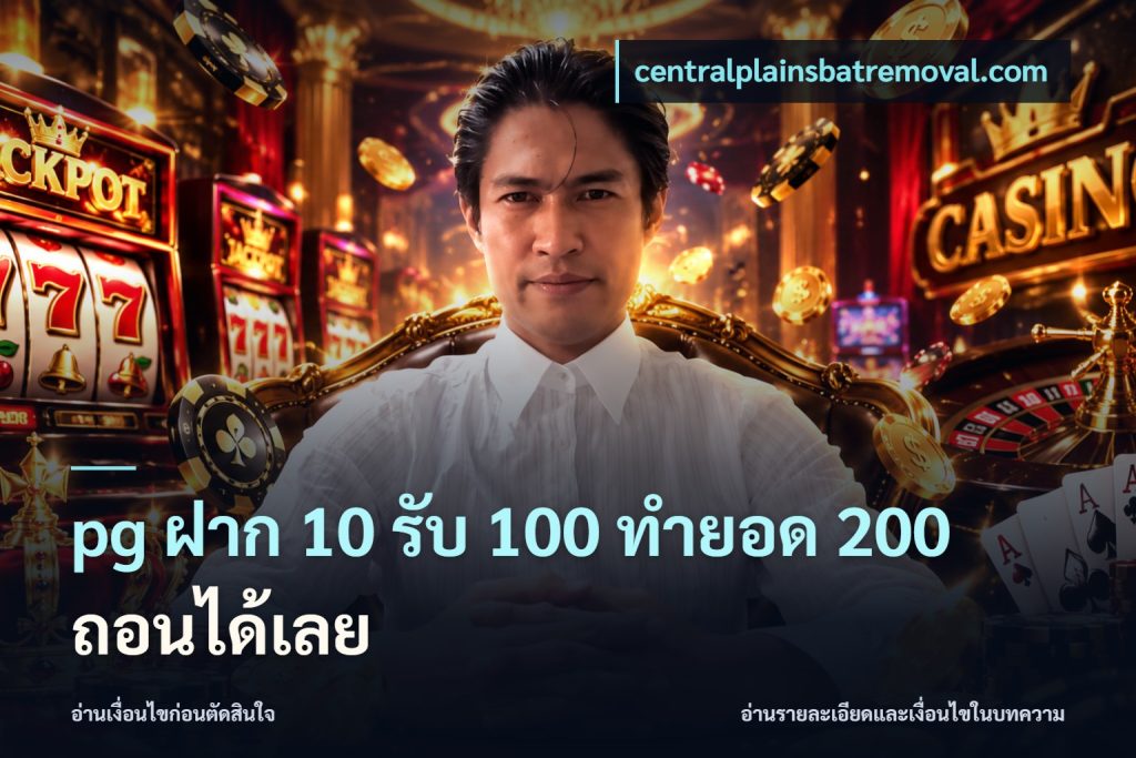 pg ฝาก 10 รับ 100 ทำยอด 200 ถอนได้เลย