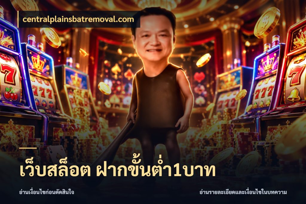 เว็บสล็อต ฝากขั้นต่ำ1บาท centralplainsbatremoval.com รู้จักจำนวนแต่ละแบบก่อนเลือกเกม