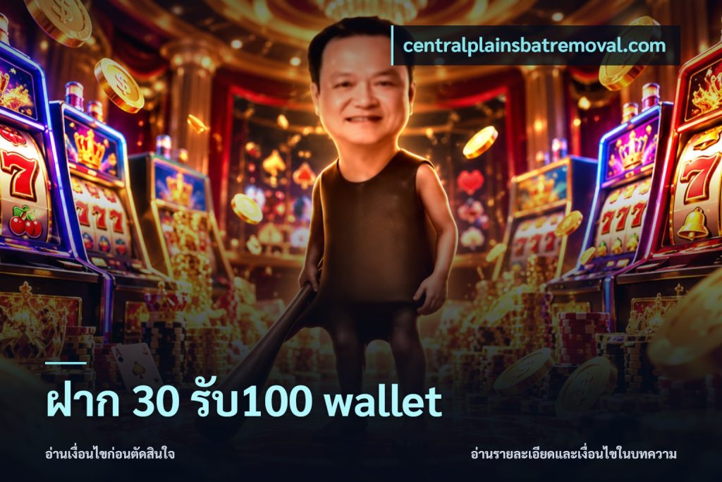 ฝาก 30 รับ100 wallet