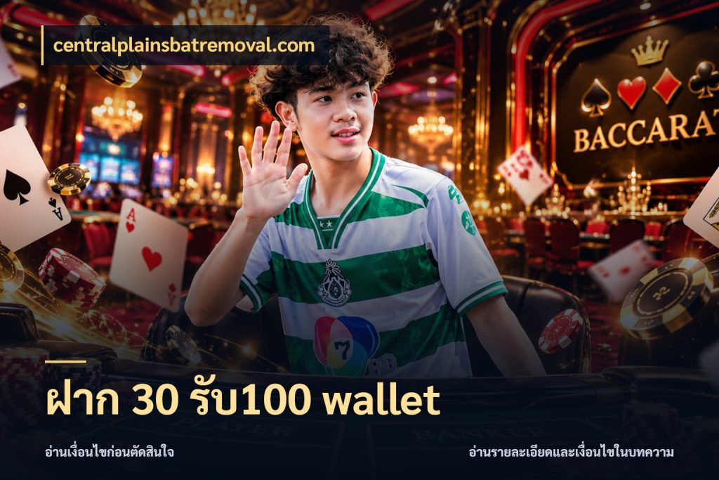 ฝาก 30 รับ100 wallet centralplainsbatremoval.com เครดิตกับรูปแบบโปรที่ตรงใจ