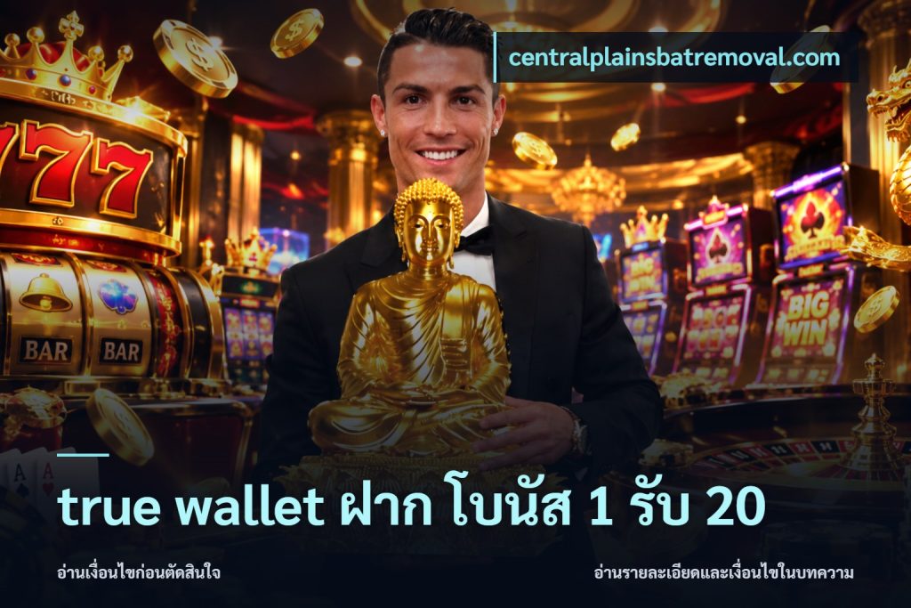 true wallet ฝาก โบนัส 1 รับ 20