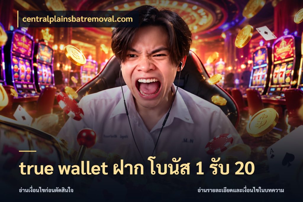 true wallet ฝาก โบนัส 1 รับ 20 สายโบนัสเลือกจังหวะสนุกได้อย่างไร กับ centralplainsbatremoval.com