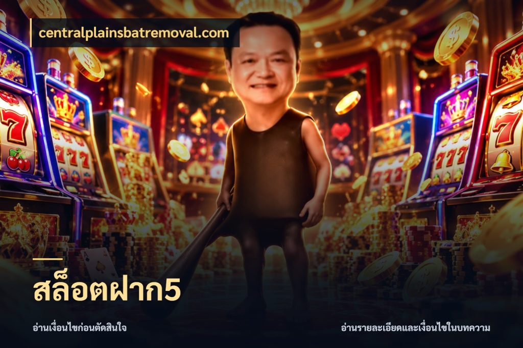 สล็อตฝาก5 ทุนเบาก็มีสีสันในจังหวะของคุณ กับ centralplainsbatremoval.com