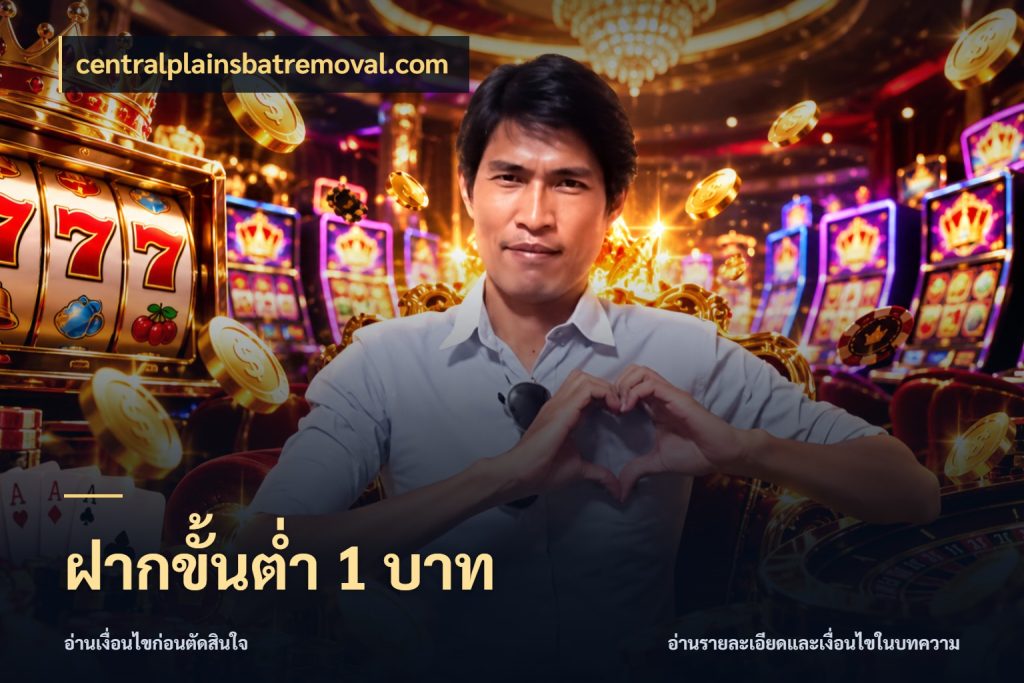 ฝากขั้นต่ำ 1 บาท เงินตั้งต้นกับความสนุกที่คุณกำหนด กับ centralplainsbatremoval.com