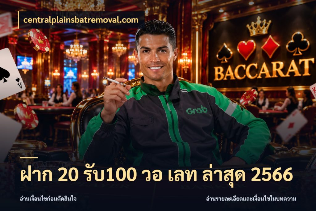 ฝาก 20 รับ100 วอ เลท ล่าสุด 2566 จับประเด็นยอดรับก่อนเลือกความสนุก ในมุม centralplainsbatremoval.com