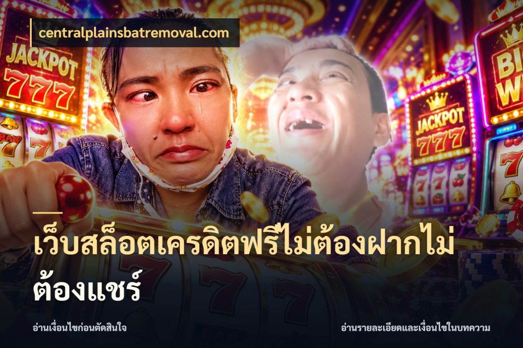 เว็บสล็อตเครดิตฟรีไม่ต้องฝากไม่ต้องแชร์ centralplainsbatremoval.com เครดิตฟรีในมุมที่สายโบนัสสนใจ