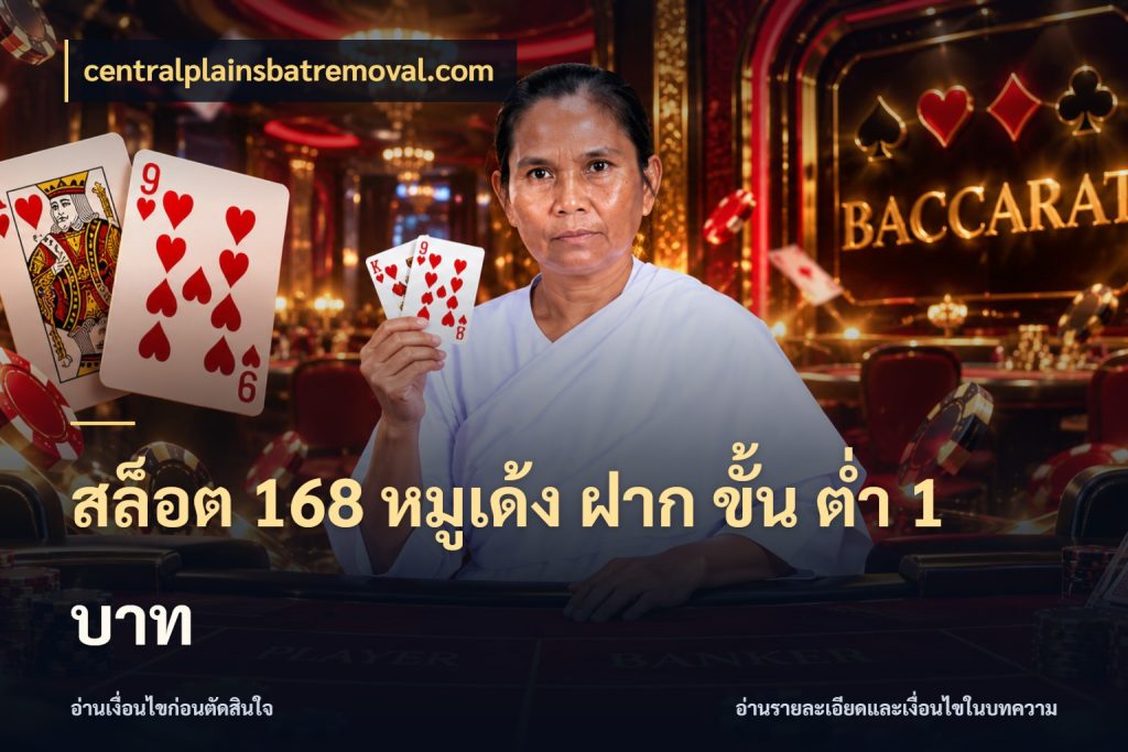 สล็อต 168 หมูเด้ง ฝาก ขั้น ต่ำ 1 บาท เงินตั้งต้นกับความสนุกที่คุณกำหนด สไตล์ centralplainsbatremoval.com