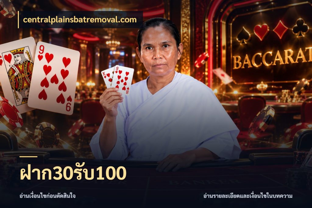 ฝาก30รับ100 เปิดมุมโปรให้เข้ากับเกมแนวโปรด สไตล์ centralplainsbatremoval.com